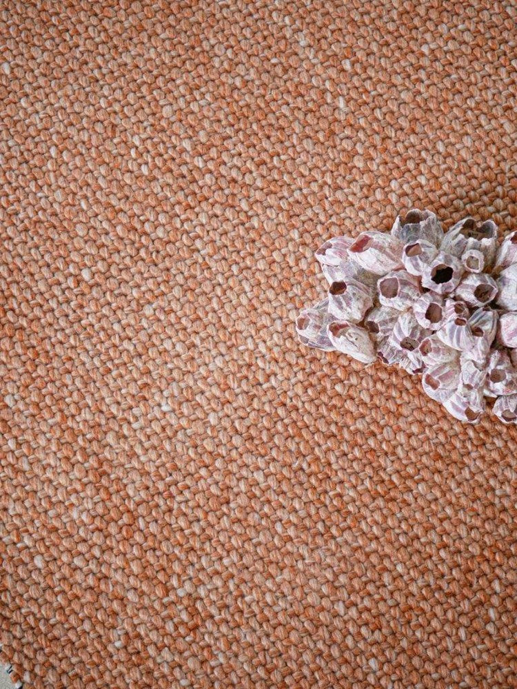 Aruba Terracotta Area Rug | Modern Indoor Rug with Durable Finish